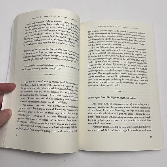 Beyond the Biography of Jesus The Journey of Quadratos Book 1 by Alexander Shaia - Picture 5 of 7